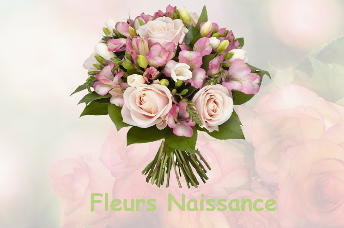 fleurs naissance GLENAT